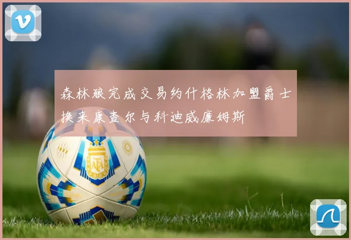 森林狼完成交易约什格林加盟爵士换来康查尔与科迪威廉姆斯
