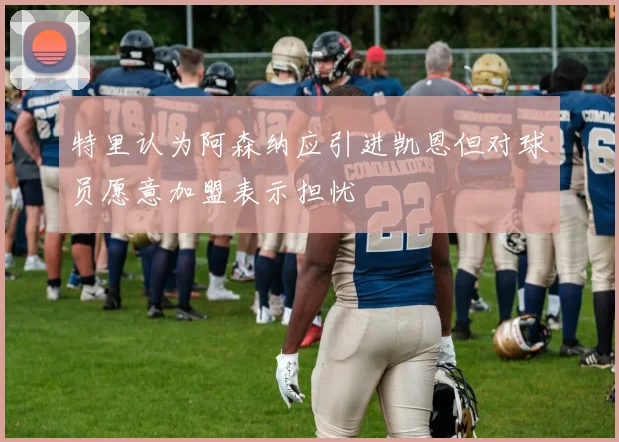 特里认为阿森纳应引进凯恩但对球员愿意加盟表示担忧