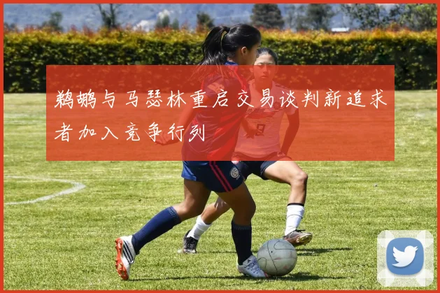 鹈鹕与马瑟林重启交易谈判新追求者加入竞争行列