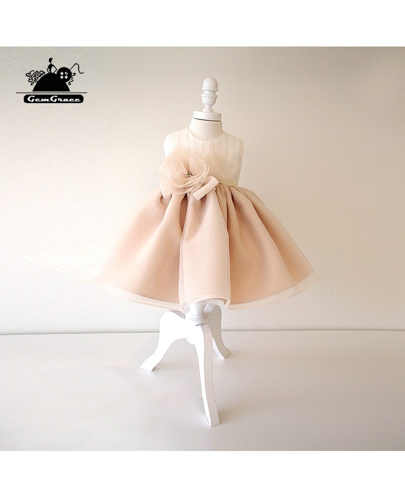 Vintage Champagne Princess Couture Flower Girl Dress Toddler Girls Pageant Gown - Click Image to Close